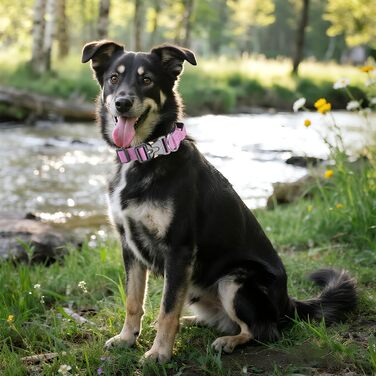 Тактичний нашийник для собак Ledeak з ручкою, регульований, широка підкладка, нашийник з металевою застібкою, навчальний нашийник для собак (фіолетовий, M)