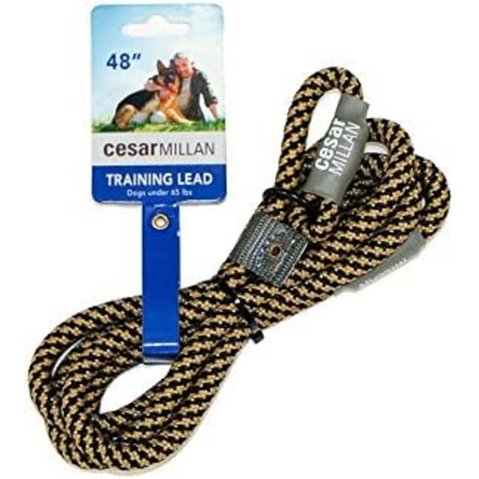 Leine - Training lead for dogs - 2in1 dog collar and leash - Slip lead - Retriever lead with integrated collar (Small/Medium - Color: Black/Yellow) - Length 120 cm, Diameter 1 cm