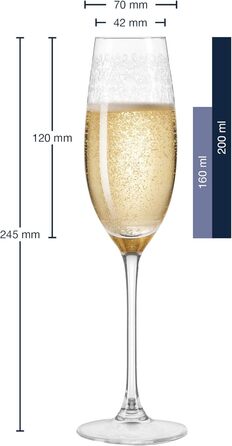 Leonardo Chateau Sparkling Wine Glasses, Set of 6, Dishwasher-Safe Prosecco Glasses, Sparkling Wine Goblet with Drawn Stem, Engraved Sparkling Wine Glass, 200 ml, 035302