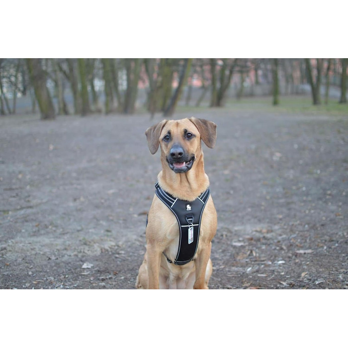 Шлейка для собак Truelove TLH5551 з ручкою, м'яка, з відбиваючим матеріалом, чорна (L)