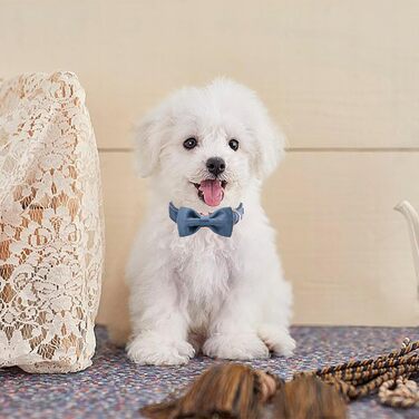 Елегантний ошийник для собак Aring з бантиком, м'який велюровий ошийник, регульований, темно-синій, подарунок для дівчаток та хлопчиків