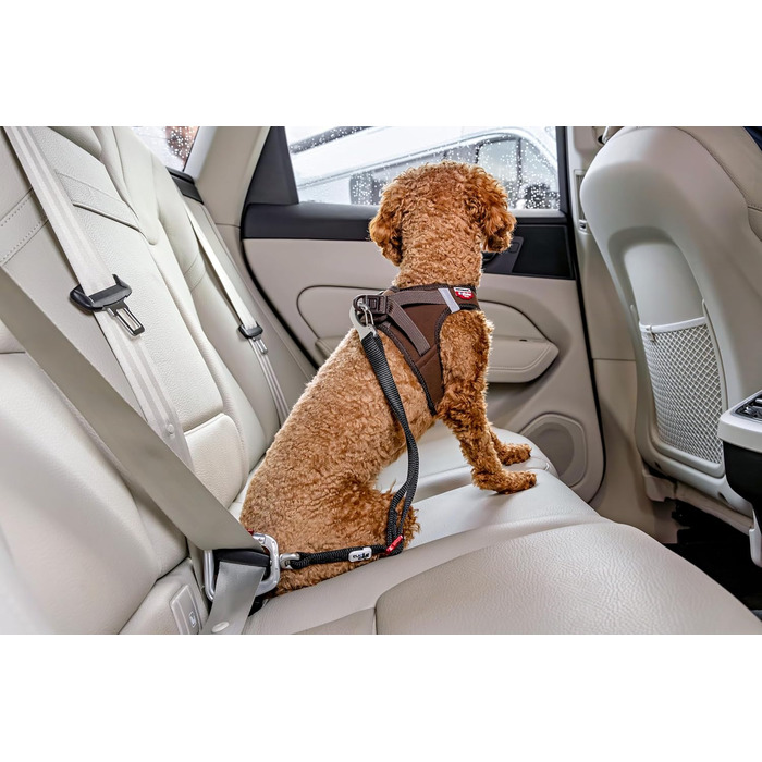Large Car Safety Belt V2 L - Enhanced Vehicle Safety Restraint