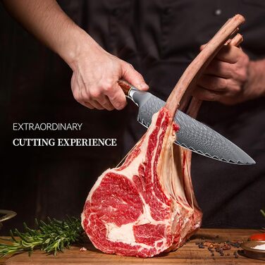 Японський професійний кухонний ніж Hoforife 20 см з дамаської сталі VG10 з ергономічною ручкою з дерева в подарунковій коробці