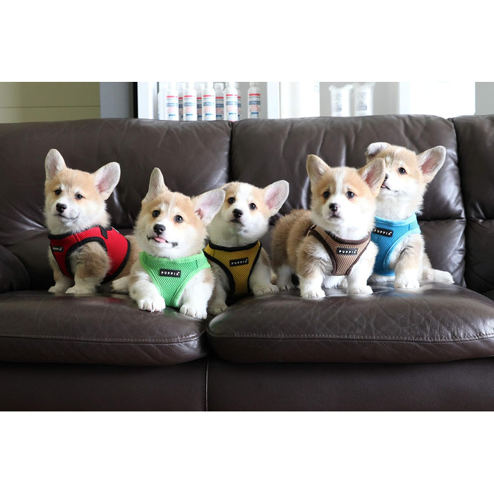 Нагрудник для собак Puppia, чорний, L - м'яка жилетка, підходить для цуценят та собак середніх розмірів