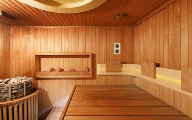 TFA Dostmann Sauna Thermo-Hygrometer Hair-Synthetic, 40.1004, heat-resistant, made of solid wood, L 131 x W 34 x H 240 mm Black, Wood
