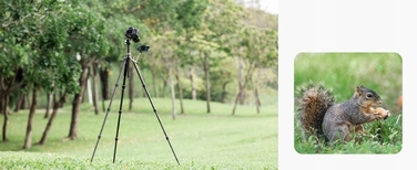 Карбоновий штатив 2-в-1 K&F Concept X284C4 (штатив/монопод), 172 см