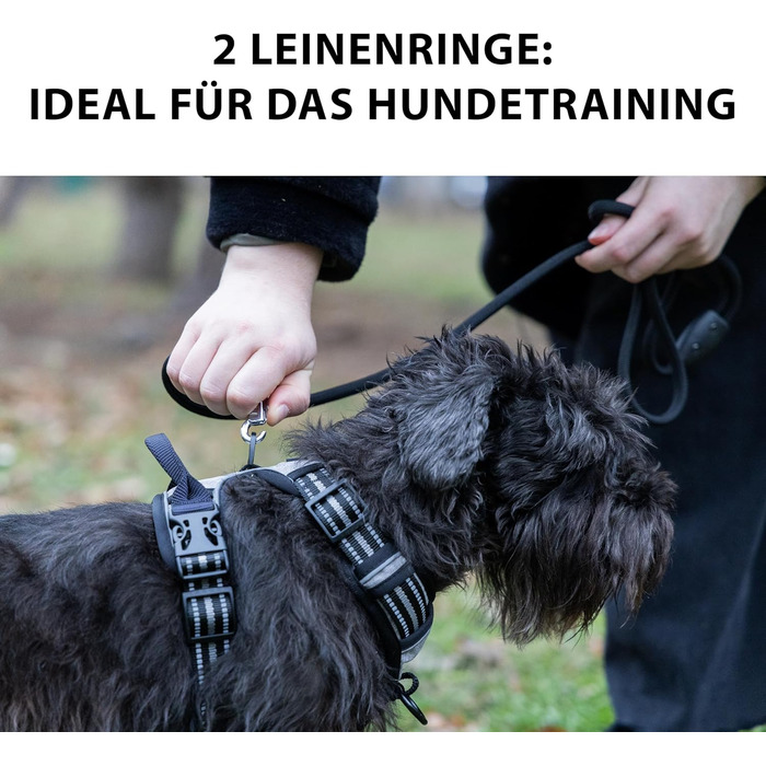 Шлейка для собак Ferplast середнього розміру, 2 гачки для контролю, шлейка проти потягування, регульована, світловідбиваюча та дихаюча, ідеальна для тренувань, M, Бежевий (Коричневий, LARGE)