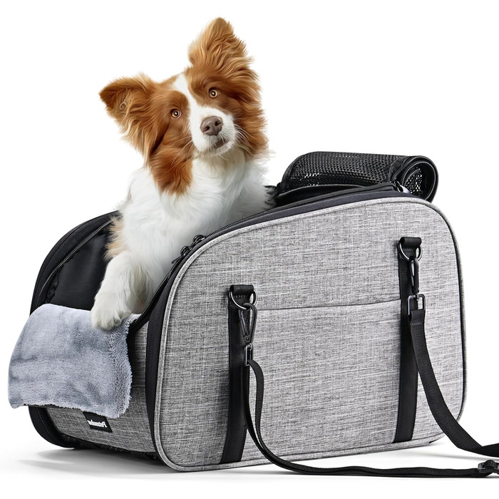 Автокрісло для собак Petzauber - зручне автокрісло для маленьких та середніх собак, сірого кольору, з подвійним ременем безпеки та неслизьким дном