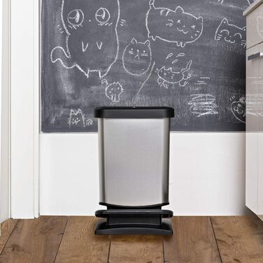 Відро для сміття Rotho Paso 20л з кришкою, червоне, з переробленого пластику (PP), BPA Free