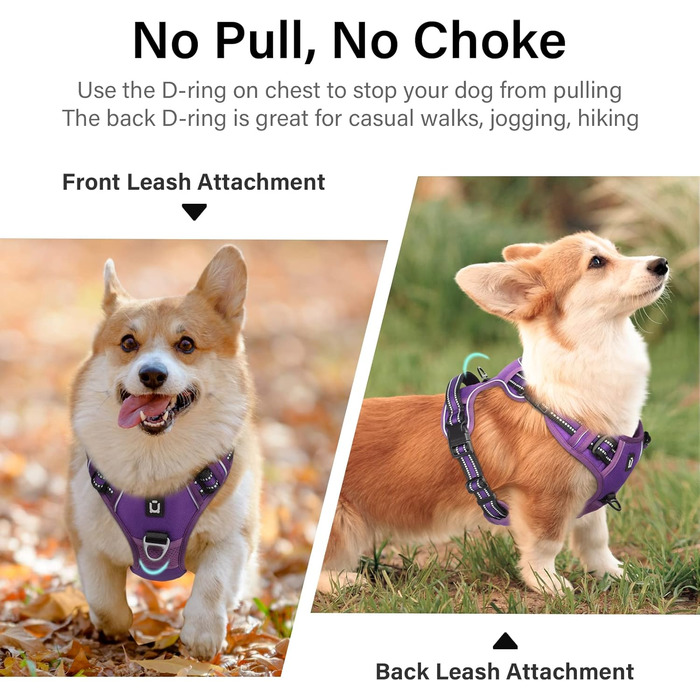 Нашийник для собак No-Pull, грудна шлейка для малих, середніх та великих собак - м'яка, дихаюча, регульована, світловідбиваюча, анти-тяга з м'яким гачком, фіолетовий M