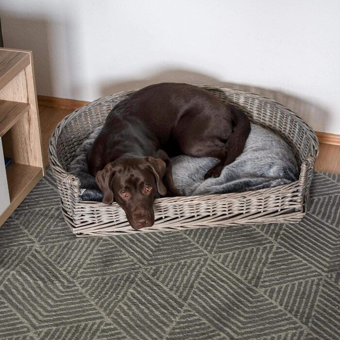 Крізьо для собак та котів UNU, плетений з лози та ротангу, сірий, 61 x 44,5 x 15,5 см (XL)