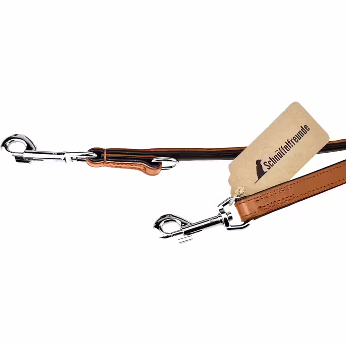 Leather Dog Lead - Training Lead - Leather Lead for Dog - Lead 3-Way Adjustable, for all Dogs (230cm, Beige)