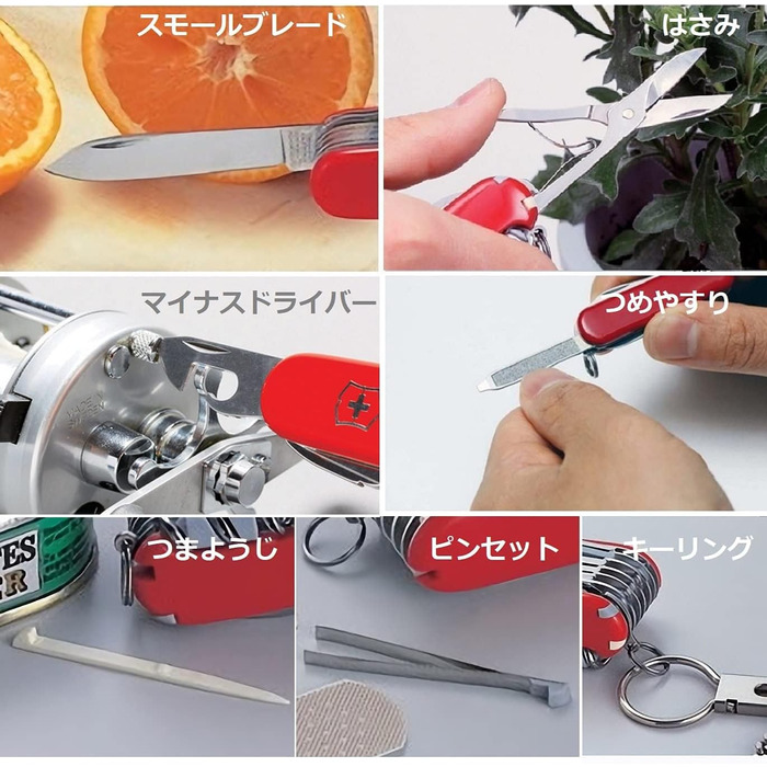 Мультитул Victorinox Classic SD Tropical Surf: Швейцарський ніж, 7 функцій, з файлом для нігтів