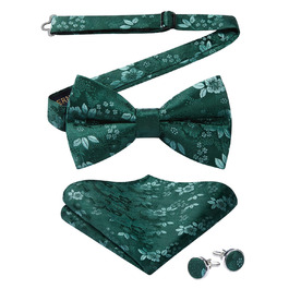 HISDERN Комплект краватка-метелик, кишеньковий хустинка та запонки з візерунком павлічків, з гачком, регульована, вже зав'язана, для вечірки, весілля, Різдва, Хелловіну, A1-Зелений