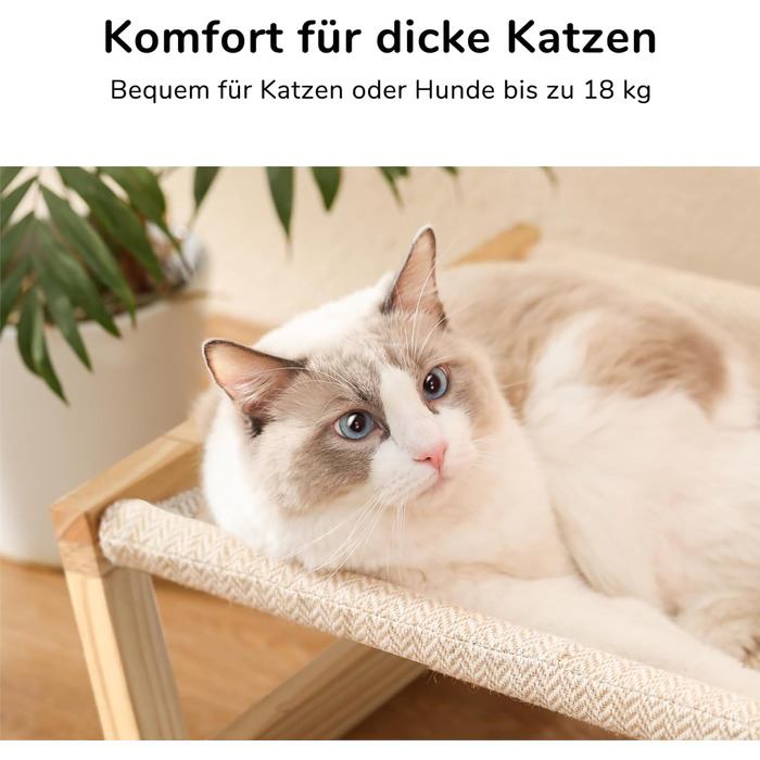 Cat bed and dog bed, elevated, large and breathable, made of high-quality birch plywood, 53W x 42L x 25H cm - ideal for cats and small dogs