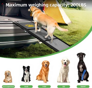Рампа для собак у машину, розкладна, 170 см, з антиковзким покриттям, для маленьких, середніх та великих собак. Підходить для авто, SUV, вантажівки, дивану та ліжка.