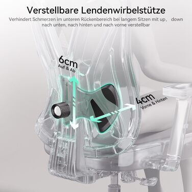 Hbada P5 Ergonomic Office Chair with Adjustable Lumbar Support, Breathable Seat Cushion, Footrest, Black Computer Desk Chair