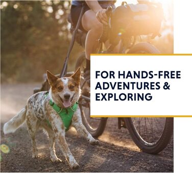 Leine Ruffwear Roamer для бігу, велосипеда та піших прогулянок, сірий граніт, великий розмір (7.3-11ft)